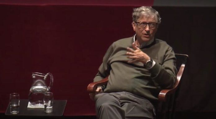 Bill Gates sobre BAYC: ‘Imágenes digitales caras de monos’ mejorarán el mundo inmensamente’