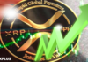 ¡XRP aumentó un 14 % en 12 horas, una oportunidad única en la vida de obtener más del 1000 % de ganancias!