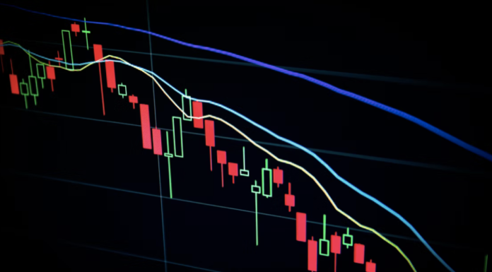 Penny Cryptos que están recuperando el mercado bajista: finanzas logarítmicas (LOG) y Shiba Inu (SHIB)