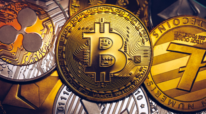 ¿Qué hace que Gnox (GNOX), Bitcoin (BTC), Ethereum (ETH), Binance Coin (BNB) y Fantom (FTM) se destaquen durante un mercado bajista?