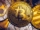 ¿Qué hace que Gnox (GNOX), Bitcoin (BTC), Ethereum (ETH), Binance Coin (BNB) y Fantom (FTM) se destaquen durante un mercado bajista?