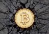 Didi Taihuttu está tratando de hacer frente a la caída de Bitcoin
