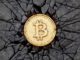Didi Taihuttu está tratando de hacer frente a la caída de Bitcoin