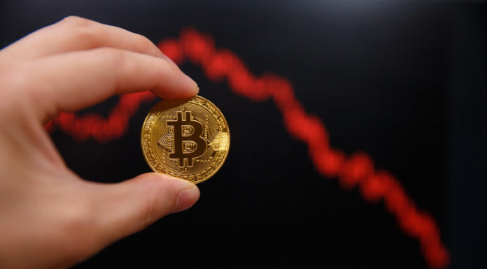 ¿Nayib Bukele está perdiendo la fe en BTC?