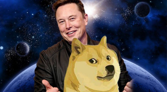 Dogecoin (DOGE) podría usar algo de impulso: ¿un tweet de Elon Musk, tal vez?