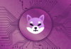 Los desarrolladores detrás de Shiba Inu se burlan del lanzamiento de la nueva Stablecoin, token de recompensa