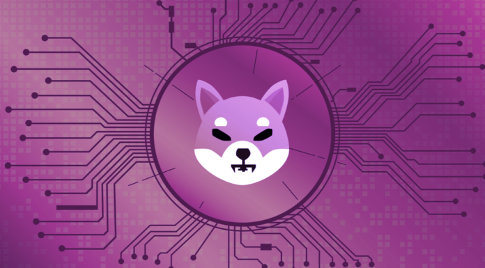 Los desarrolladores detrás de Shiba Inu se burlan del lanzamiento de la nueva Stablecoin, token de recompensa