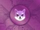 Los desarrolladores detrás de Shiba Inu se burlan del lanzamiento de la nueva Stablecoin, token de recompensa