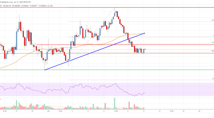 Análisis de precios de Tron (TRX): los toros pierden el control por debajo de $ 0.07