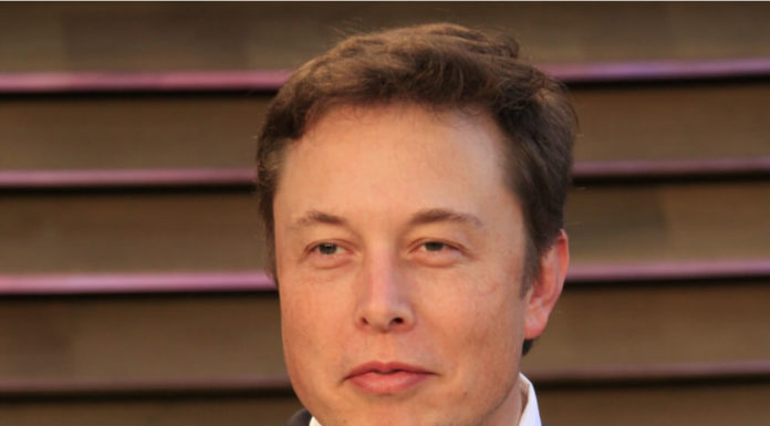 Elon Musk: nunca obligué a nadie a invertir en criptomonedas