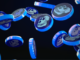 APECoin retrocede un 2,5% en los últimos 7 días: ¿más liquidación a la vista?