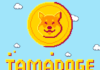¿Es esta la mejor moneda nueva de Meme para 10x? Tamadoge listo para superar a Dogecoin