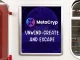 Crypto Crash 2022: Fantom y MetaCryp para sobrevivir