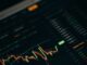 Crypto Whale Who Won Bet Terra’s Collapse revela un corto masivo contra Terra Classic ($LUNC)