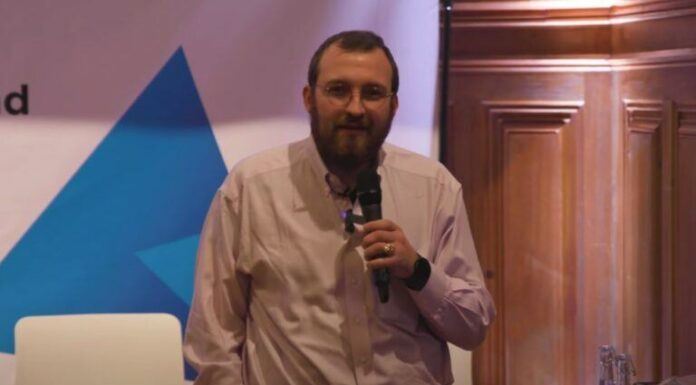 «Cardano no necesita criptomonedas para tener éxito con el fin de tener éxito», dice el CEO de IOG