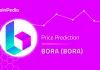 Predicción de precios de BORA (BORA) 2022, 2023, 2024, 2025: ¿Subirá BORA?