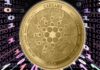 El precio de Cardano (ADA) no supera los 0,5 dólares a pesar del bombo publicitario de Vasil