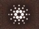 Cardano Blockchain avanza con la actualización de Vasil