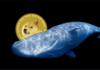 Dogecoin (DOGE) en la parte superior del menú de ballenas: he aquí por qué