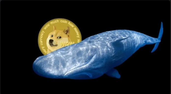 Dogecoin (DOGE) en la parte superior del menú de ballenas: he aquí por qué