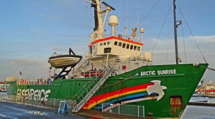 Greenpeace dice que Bitcoin se niega «desafiantemente a aceptar su responsabilidad climática»
