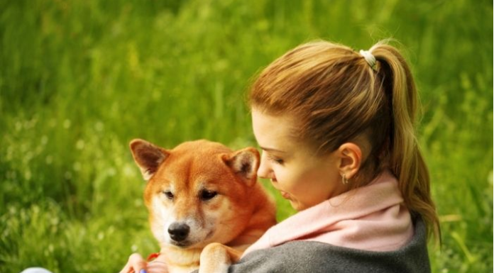 Shiba Inu agrega casi 36,000 titulares desde junio a pesar de la agitación del mercado criptográfico