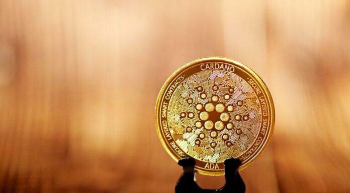 ¿Cadena fantasma? Casi el 25% de todas las transacciones de Cardano ($ADA) realizadas durante el año pasado
