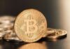 El panel del buscador predice un crecimiento del 11% para Bitcoin para fin de año