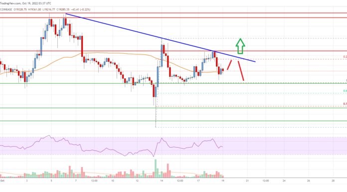 Análisis de precios de Bitcoin: BTC podría recuperarse si elimina esta resistencia