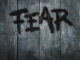 Crypto Market cae al miedo extremo mientras Bitcoin lucha por mantener $ 19,000
