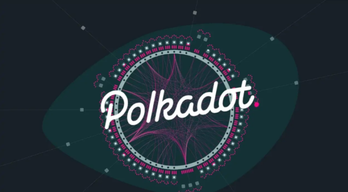 Polkadot registra la actividad de desarrollo más alta en los últimos 7 días: ¿un impulso para el precio DOT?