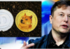 ¿Es Elon Musk el mayor tenedor de Dogecoin (DOGE) con el 28,52% de la oferta?