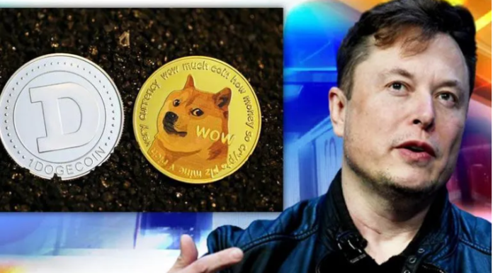 ¿Es Elon Musk el mayor tenedor de Dogecoin (DOGE) con el 28,52% de la oferta?