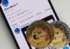 ¿Qué sucede con Dogecoin si Twitter no implementa los planes criptográficos?