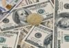 La popularidad de las criptomonedas en los casinos en línea
