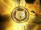 Shiba Inu ($SHIB) se convierte en una de las mayores propiedades de Ethereum Whales a medida que crece SHIBArmy