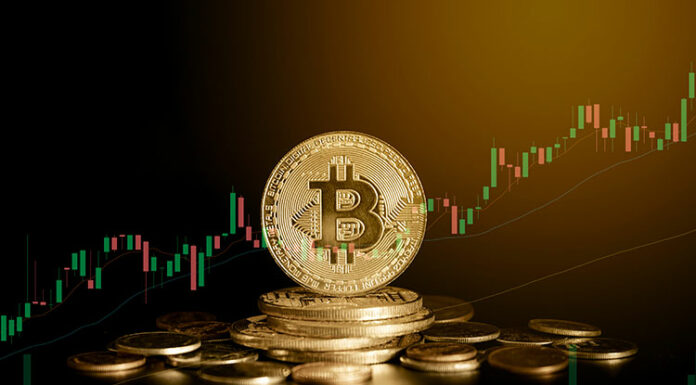 Bitcoin frena caídas y PEPE cae 20%