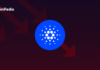 Principales razones por las que los osos de Cardano pueden permanecer fuera de la costa en diciembre de 2022