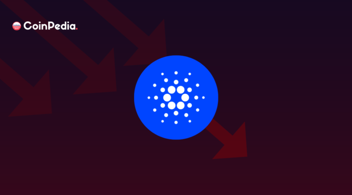 Principales razones por las que los osos de Cardano pueden permanecer fuera de la costa en diciembre de 2022