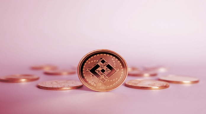 BNB se desploma cuando el auditor de Binance, Mazars, detiene el trabajo con todas las criptoempresas