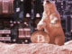 Bybit y Swyftx se unen a la lista de criptoempresas que reducen la fuerza laboral