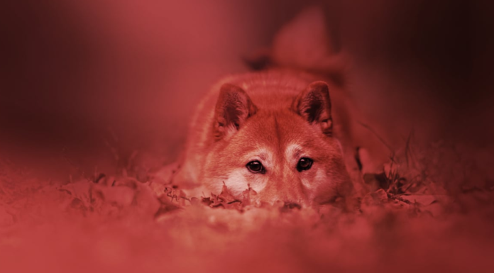 Esta semana en monedas: Bitcoin y Ethereum caen con las acciones, Dogecoin se sumerge un 20 %
