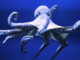 NEAR Protocol Project Octopus Network despide al 40% del equipo