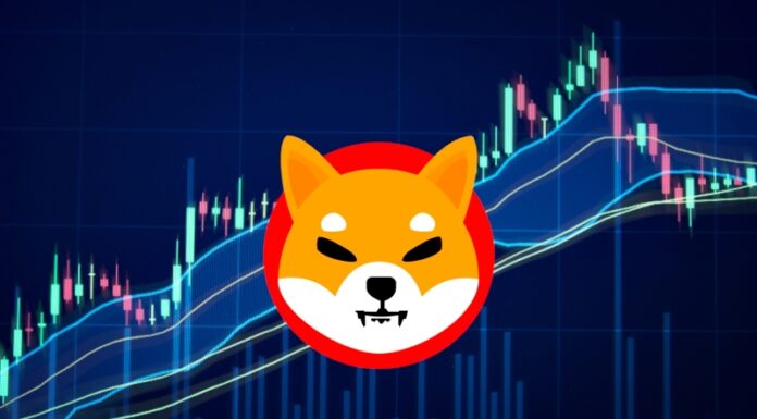 Shiba Inu da la bienvenida a 10,000 nuevos poseedores, ¿puede SHIB mantener el impulso?