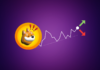 BONK ¡Los inversores se emborracharon! ¿Comenzará Solana Price con Fresh Inverse Action?