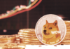 Dogecoin alcanza un máximo de 3 semanas a medida que el mercado criptográfico más amplio se vuelve verde
