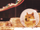 Dogecoin alcanza un máximo de 3 semanas a medida que el mercado criptográfico más amplio se vuelve verde