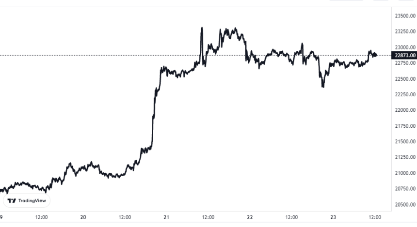 Gráfico de precios de Bitcoin
