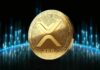 XRP encabeza la lista de ganadores a medida que aumenta el interés de las ballenas