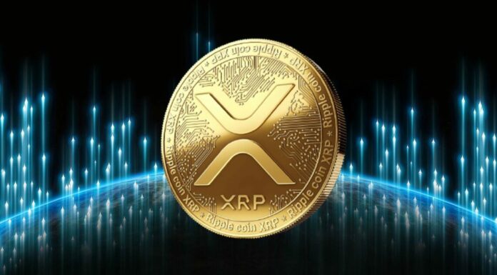 XRP encabeza la lista de ganadores a medida que aumenta el interés de las ballenas